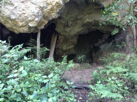 3291 Christmas Creek Rd, Christmas Creek - Thumbnail 5