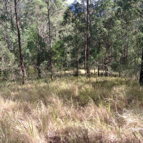 3291 Christmas Creek Rd, Christmas Creek - Thumbnail 7