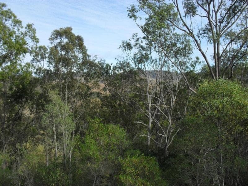 , BEAUDESERT, QLD 4285, Beaudesert - Thumbnail 3