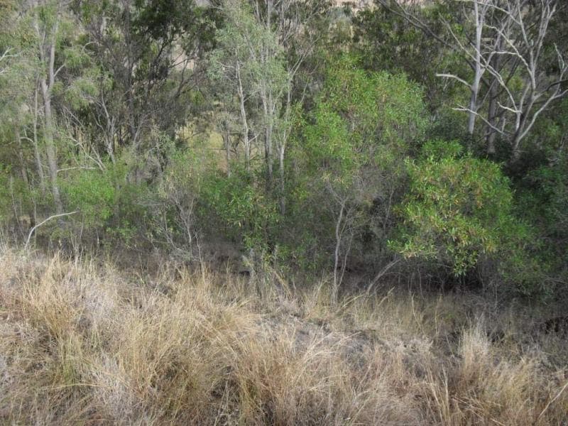 , BEAUDESERT, QLD 4285, Beaudesert - Thumbnail 5