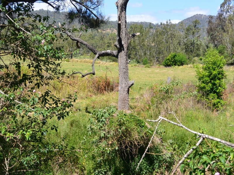 495 Cainbable Creek Road, Beaudesert - Thumbnail 4