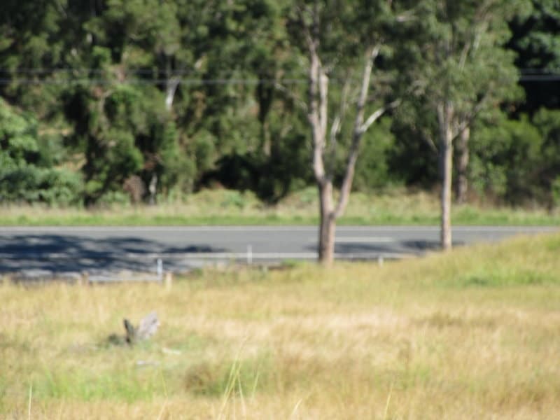 8325 Mount Lindesay Highway, Josephville - Thumbnail 8