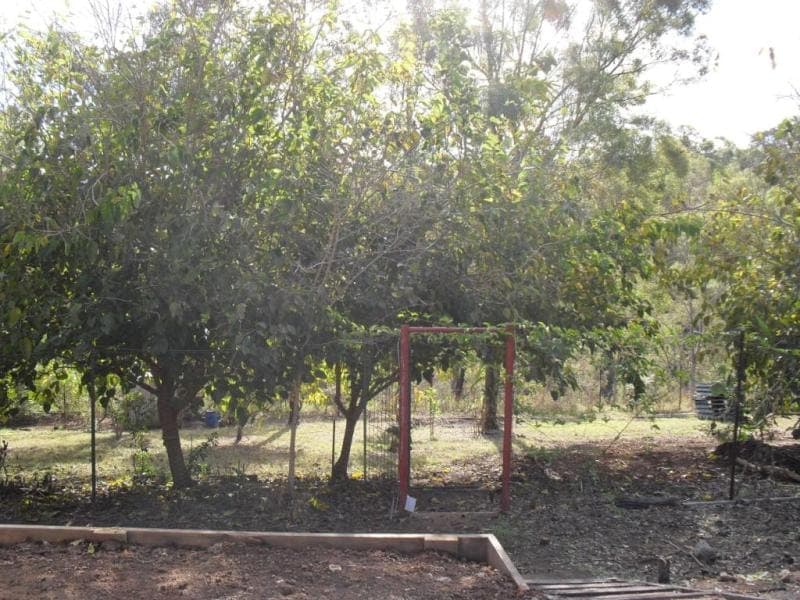 , KOORALBYN, QLD 4285, Kooralbyn - Thumbnail 2
