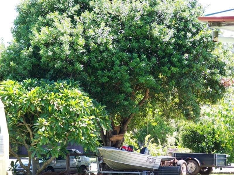 31 Birnam Street, Beaudesert - Thumbnail 6