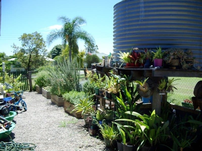 31 Birnam Street, Beaudesert - Thumbnail 7
