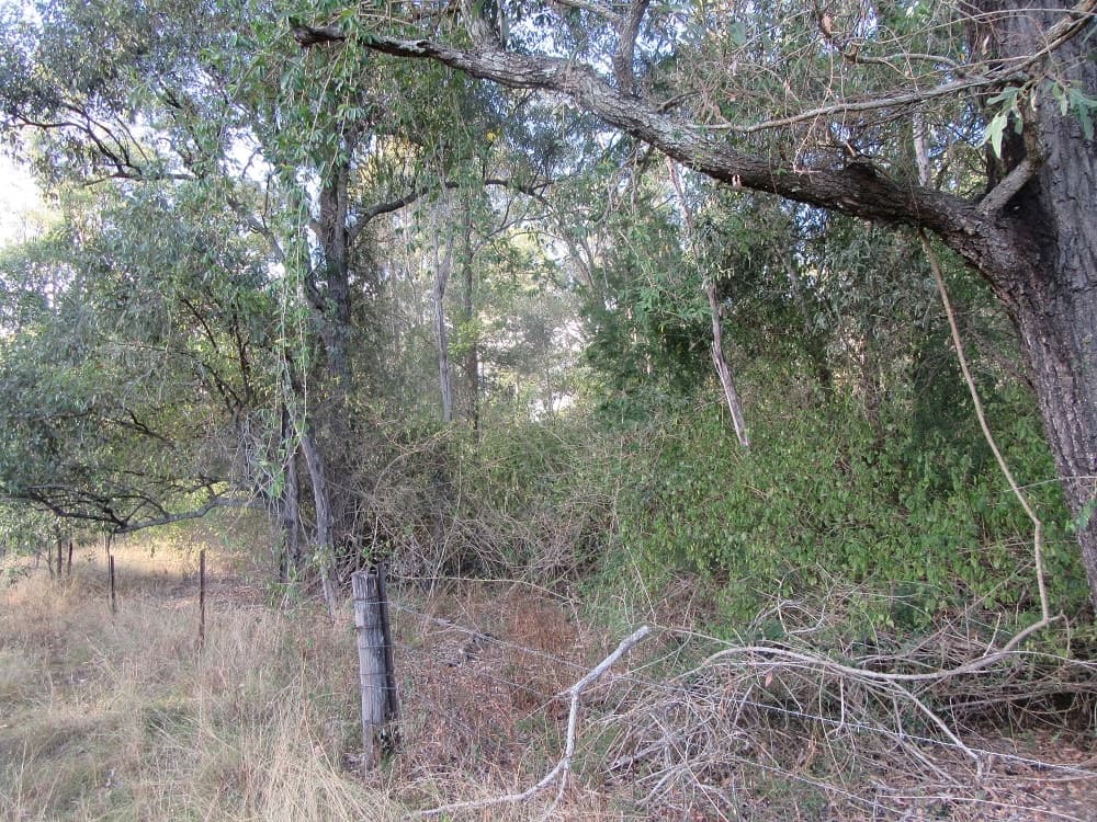 Gould Hill Road, Beaudesert - Thumbnail 4