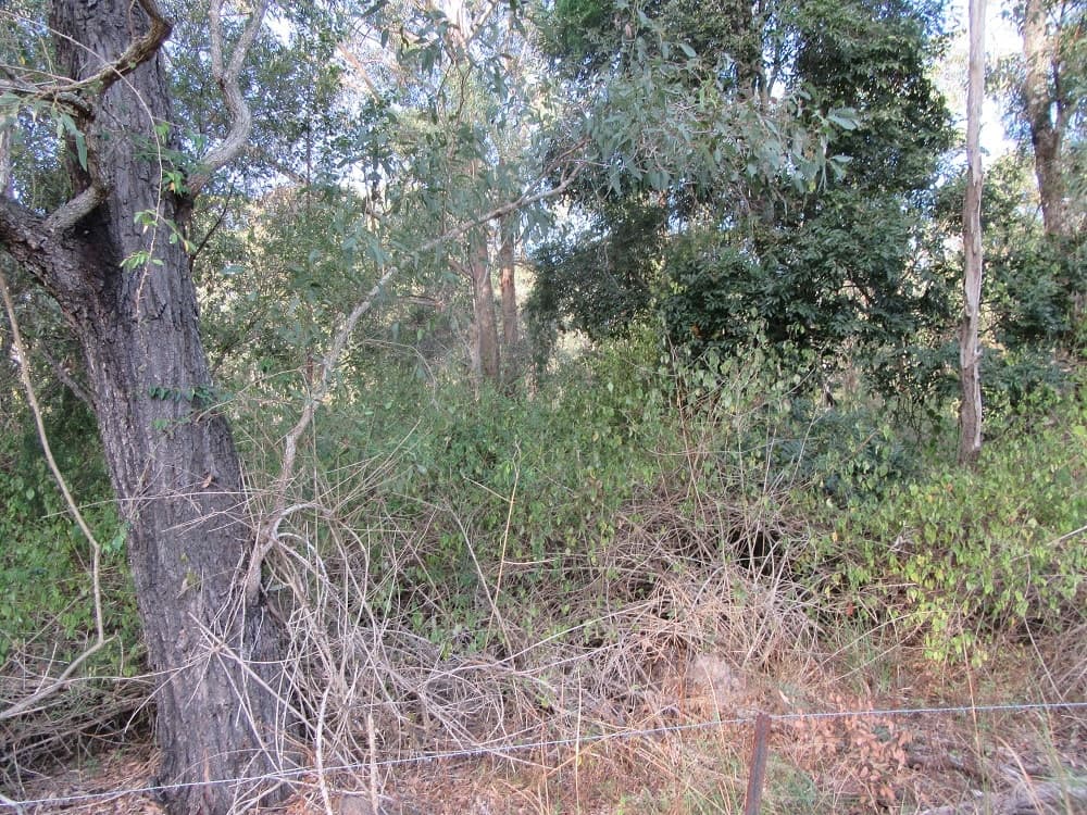 Gould Hill Road, Beaudesert - Thumbnail 5