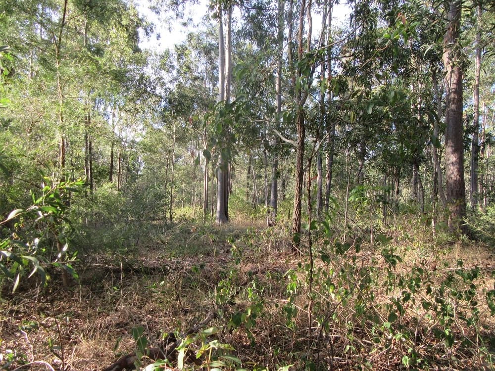 Gould Hill Road, Beaudesert - Thumbnail 6