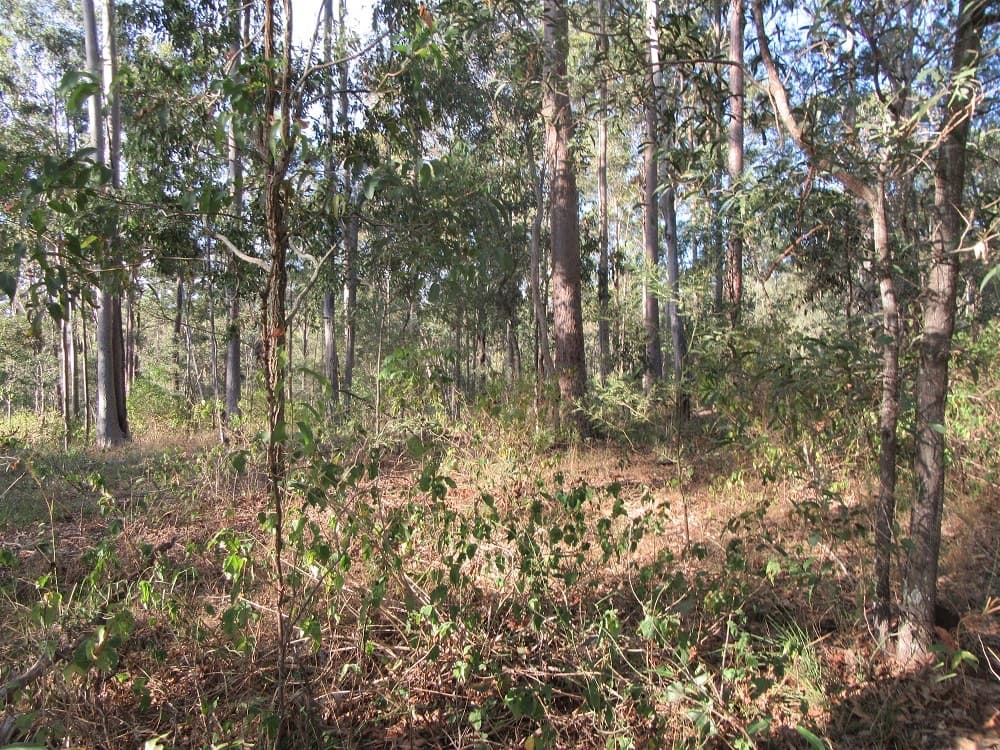 Gould Hill Road, Beaudesert - Thumbnail 7