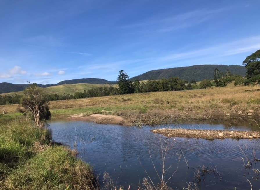 11938 Mt Lindesay Hwy, Palen Creek - Thumbnail 7