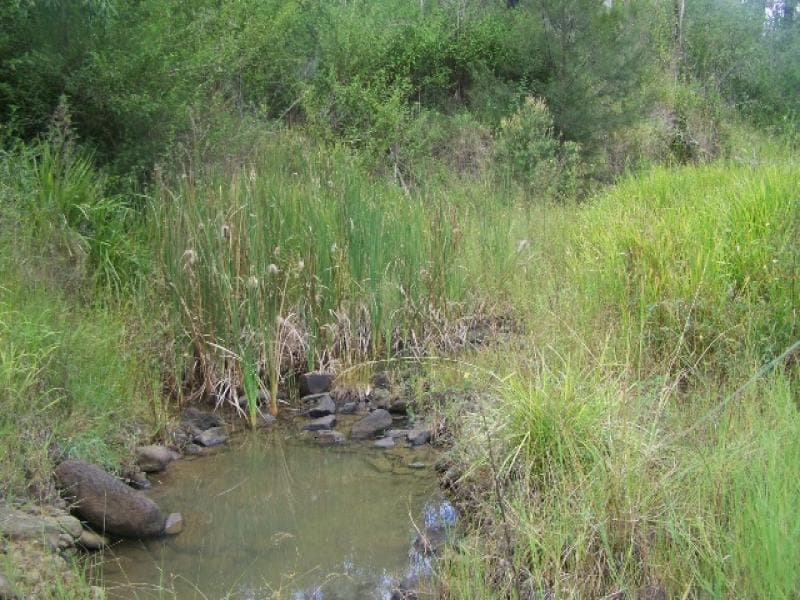 , BEAUDESERT, QLD 4285, Beaudesert - Thumbnail 2
