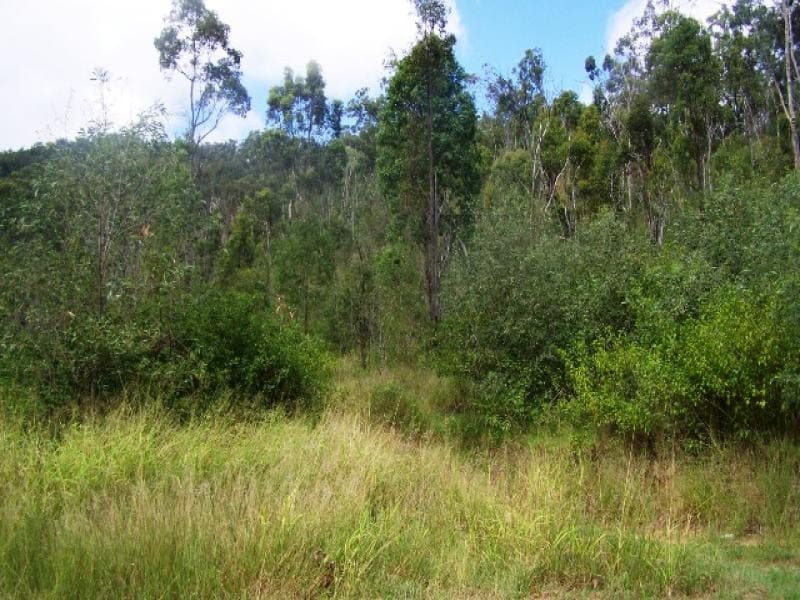 , BEAUDESERT, QLD 4285, Beaudesert - Thumbnail 4