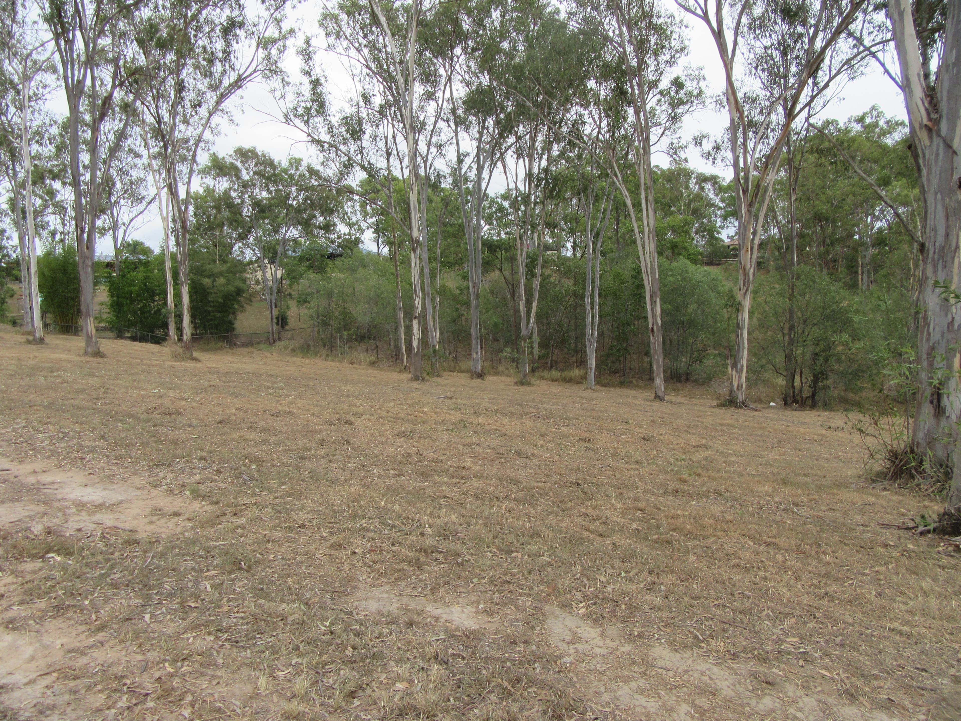 13-19 13-19 Golden Grove Crt, Mundoolun - Thumbnail 3