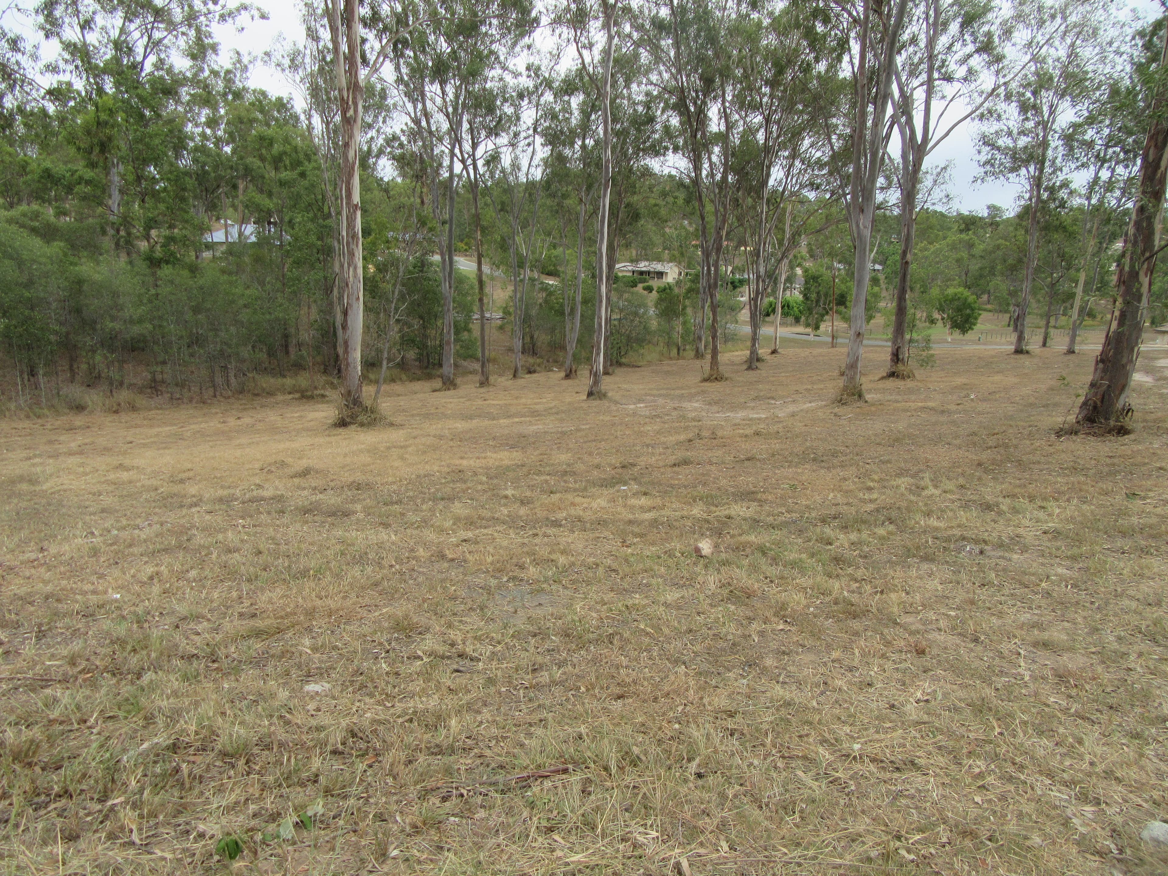 13-19 13-19 Golden Grove Crt, Mundoolun - Thumbnail 5