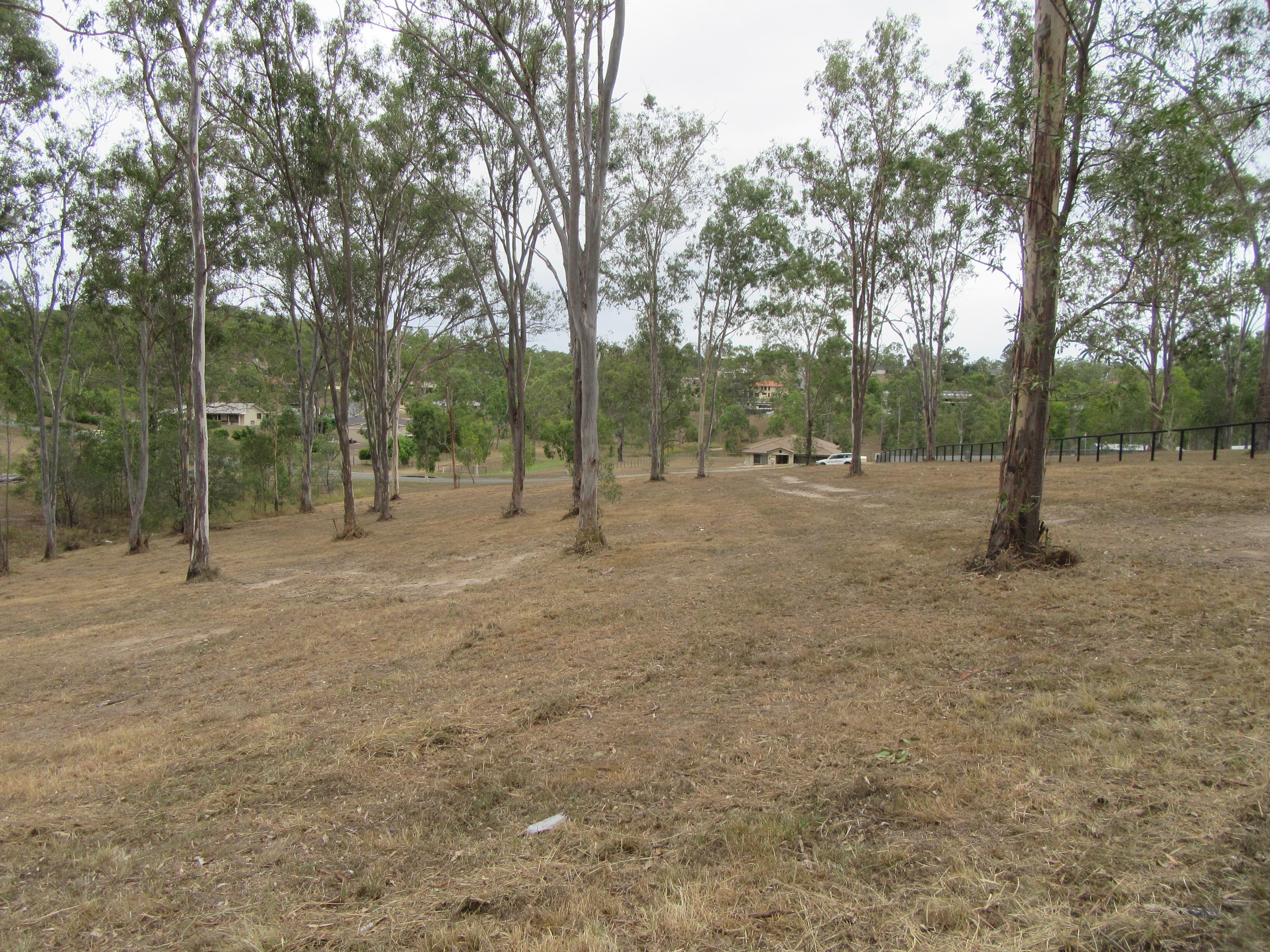 13-19 13-19 Golden Grove Crt, Mundoolun - Thumbnail 7