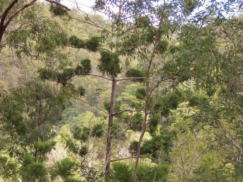 , BEAUDESERT, QLD 4285, Beaudesert - Thumbnail 2