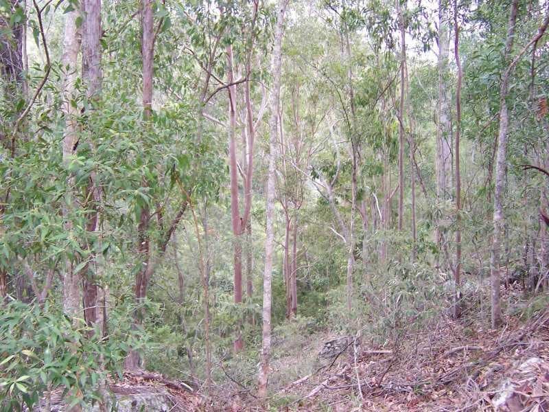 , BEAUDESERT, QLD 4285, Beaudesert - Thumbnail 3