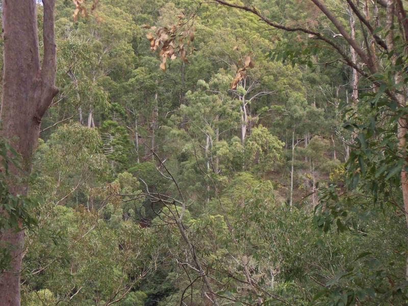 , BEAUDESERT, QLD 4285, Beaudesert - Thumbnail 6