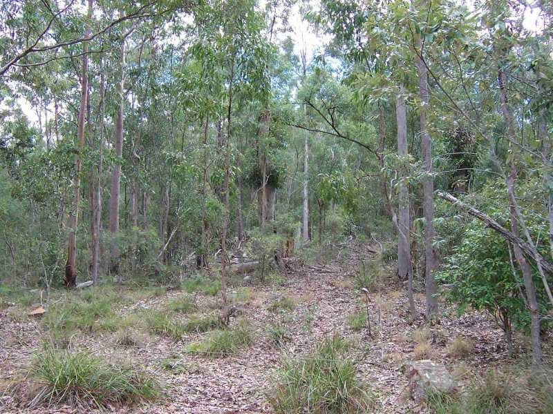 , BEAUDESERT, QLD 4285, Beaudesert - Thumbnail 7