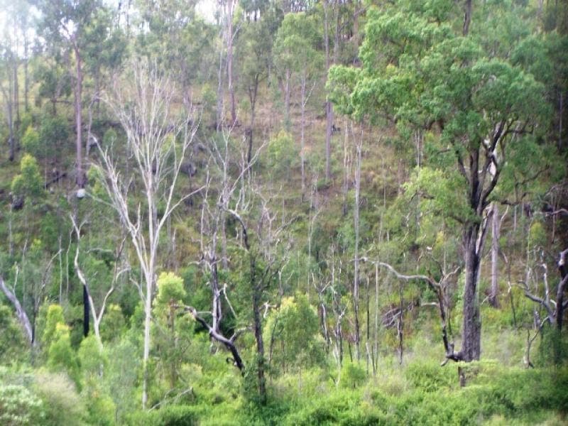 , BEAUDESERT, QLD 4285, Beaudesert - Thumbnail 6