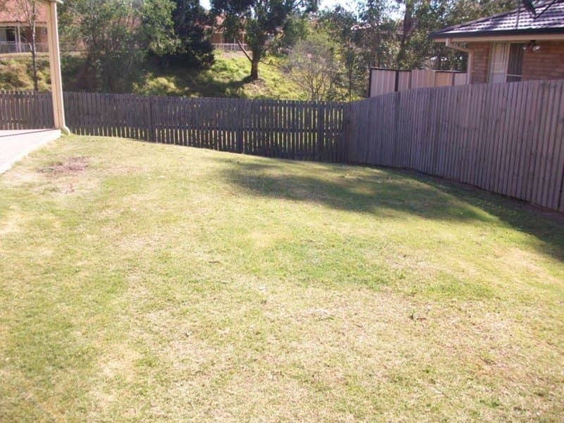 , BEAUDESERT, QLD 4285, Beaudesert - Thumbnail 8
