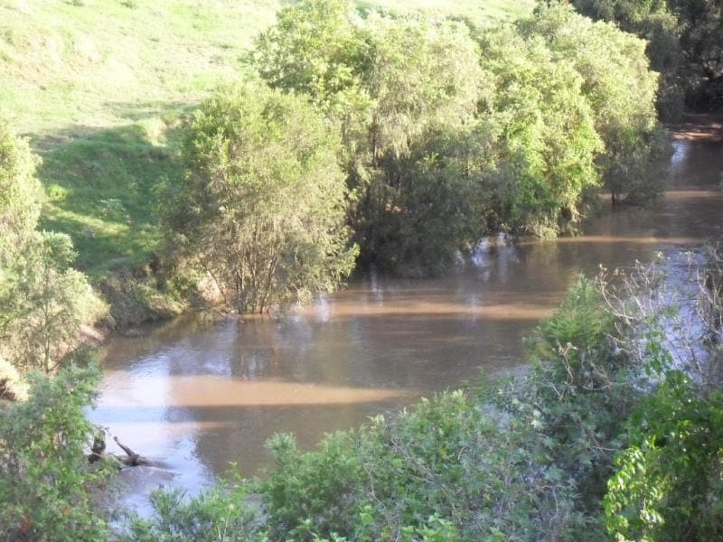 , BEAUDESERT, QLD 4285, Beaudesert - Thumbnail 4