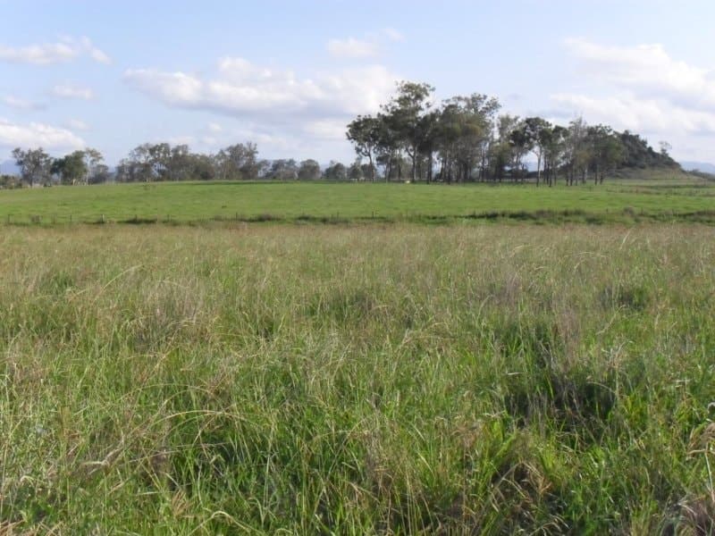 , BEAUDESERT, QLD 4285, Beaudesert - Thumbnail 6