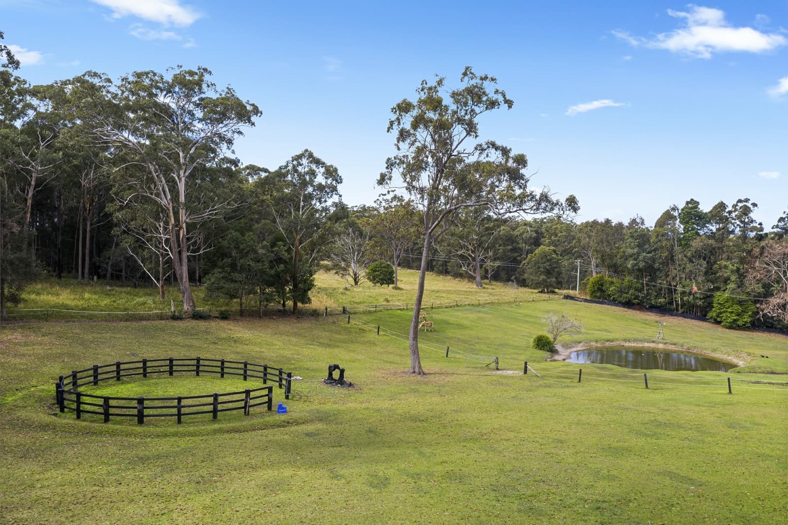 27B Oyster Creek Road, VALLA, Valla - Thumbnail 7
