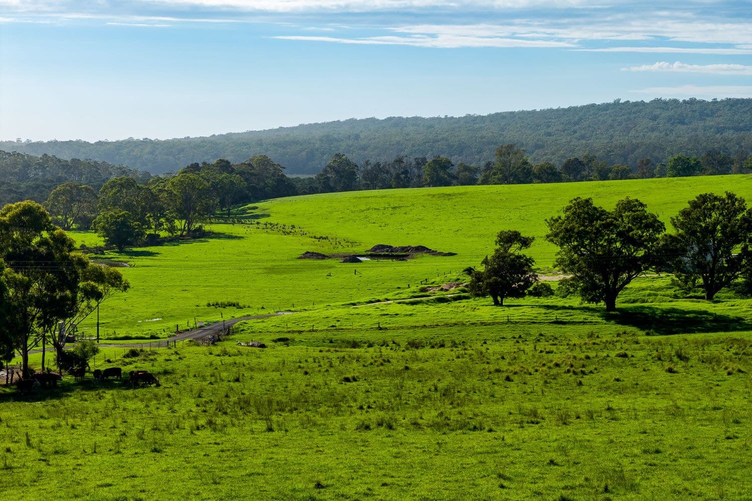 Lot 510 Prince's Highway, South Pambula, NSW, South Pambula - Thumbnail 2