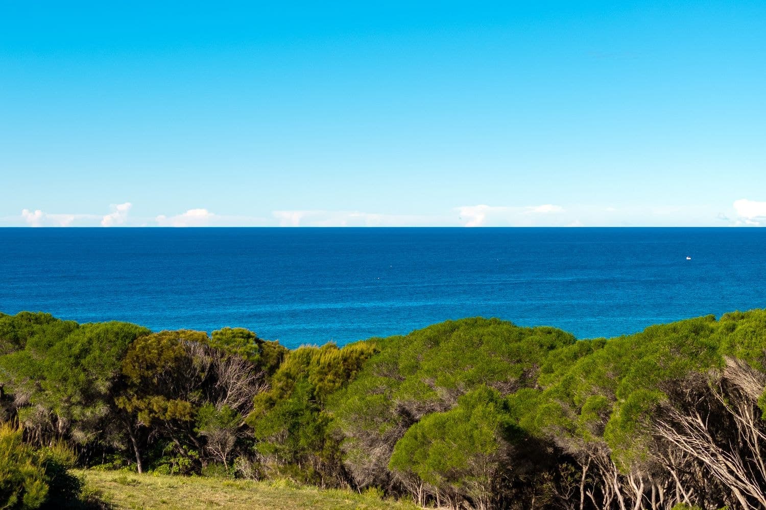 30 Surf Circle, Tura Beach, NSW, Tura Beach - Thumbnail 4