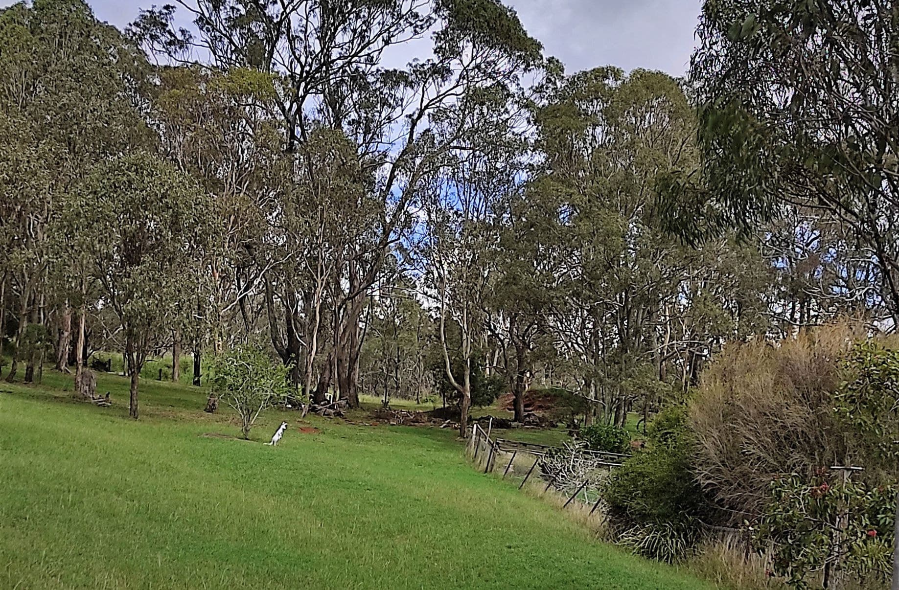 114 GORMAN STREET, Darling Heights, Darling Heights - Thumbnail 2