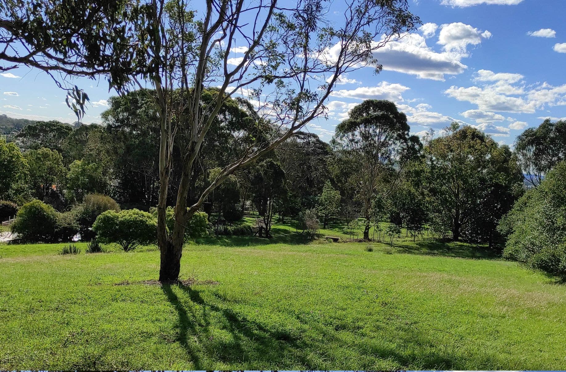 114 GORMAN STREET, Darling Heights, Darling Heights - Thumbnail 7