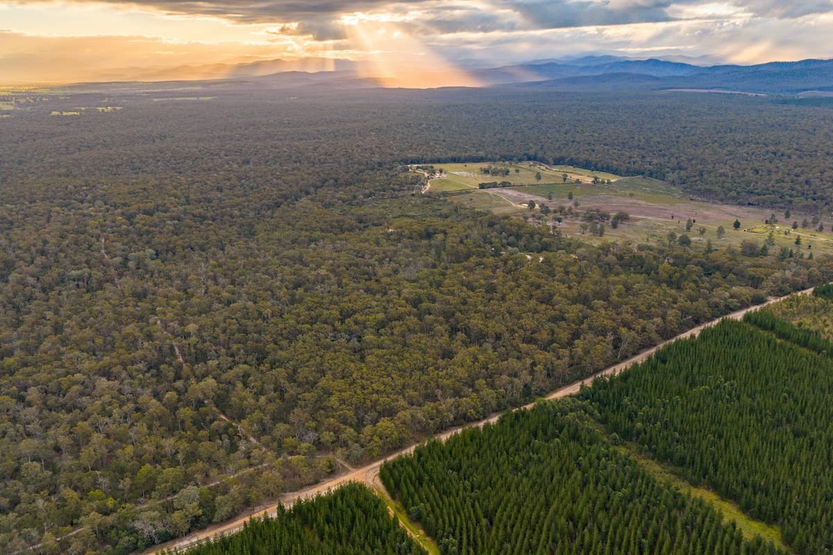 Lot 2 Berrys Road, Stockdale, Stockdale - Thumbnail 5