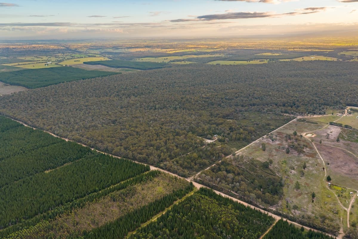 Lot 2 Berrys Road, Stockdale, Stockdale - Thumbnail 6