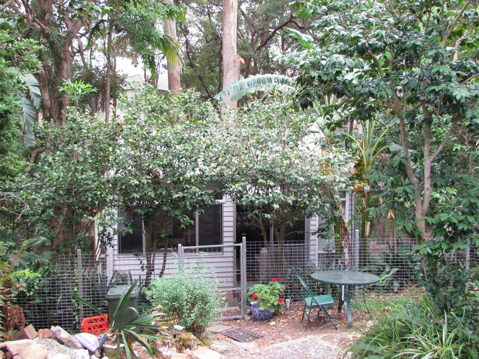 19A Beresford Avenue, Chatswood NSW 2067, Chatswood - Thumbnail 5