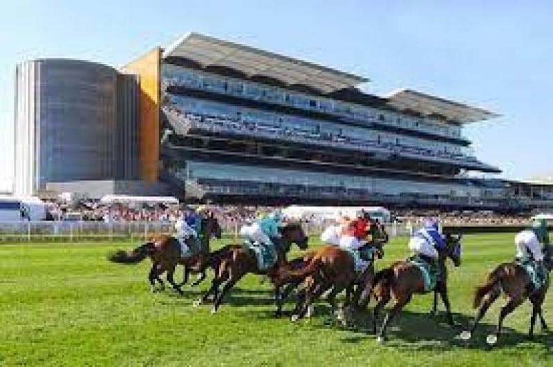 8/41A Anzac Parade KENSINGTON NSW, Kensington - Thumbnail 4