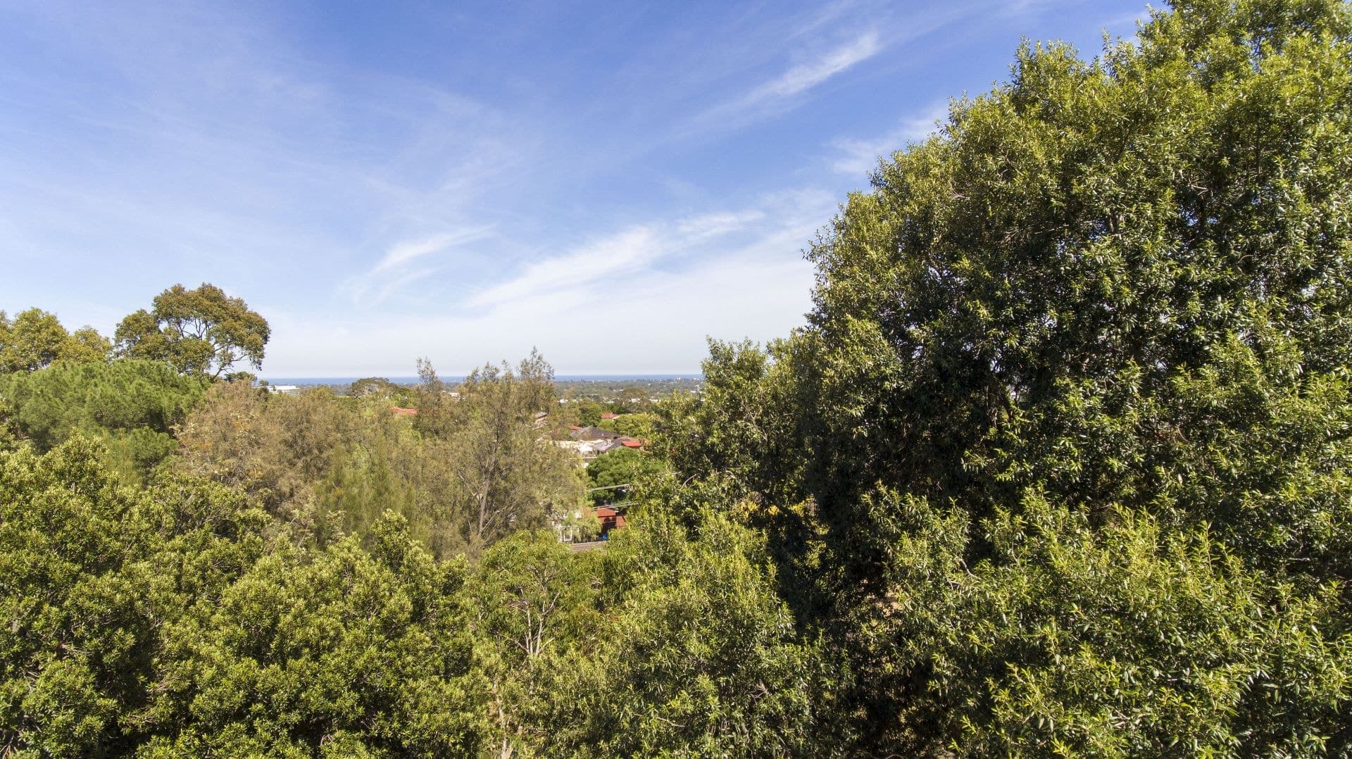 5 Bain Street, Pasadena, Pasadena - Thumbnail 6