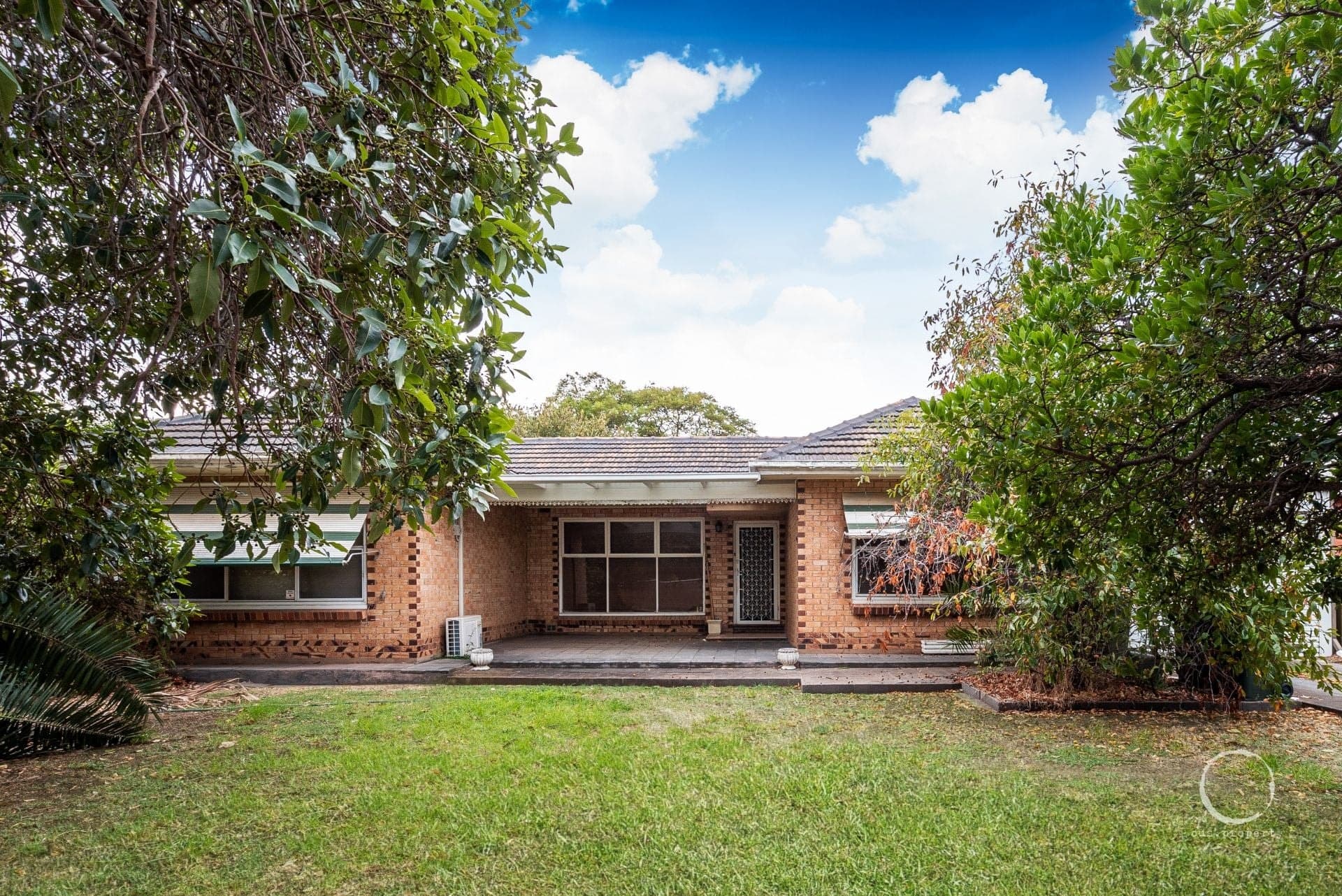 6 Elba Avenue, Lockleys, Lockleys - Image 1