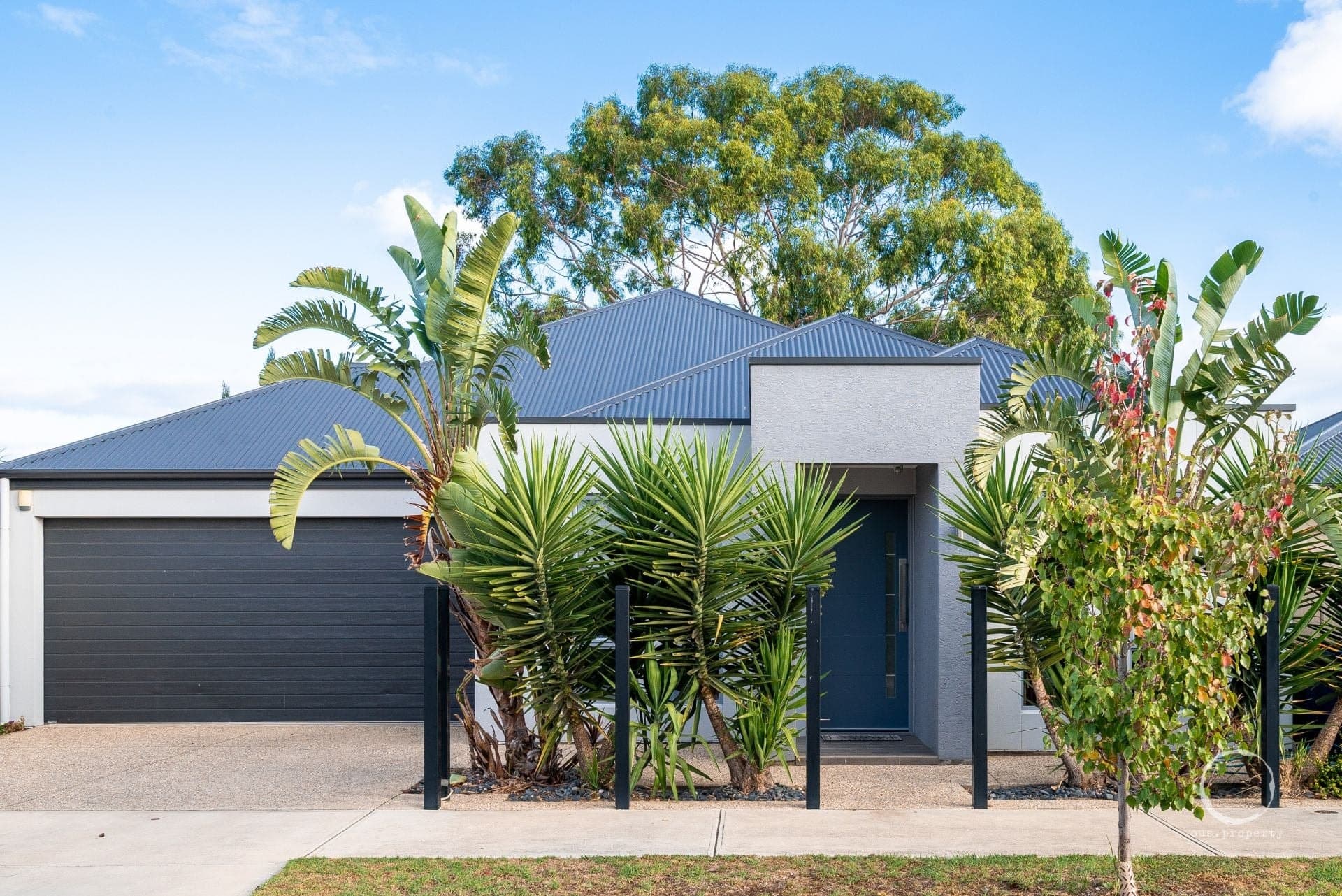 19c Lachlan Avenue, Woodville West - Thumbnail 2