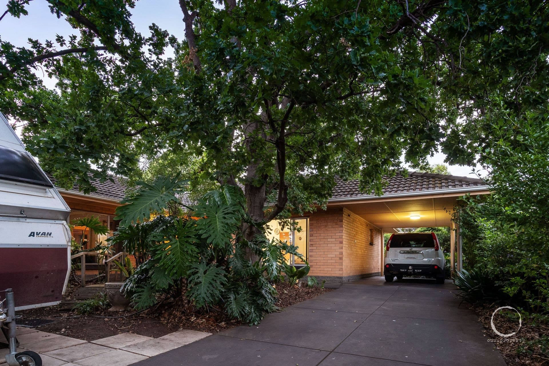 9 Elba Avenue, Lockleys, Lockleys - Thumbnail 5