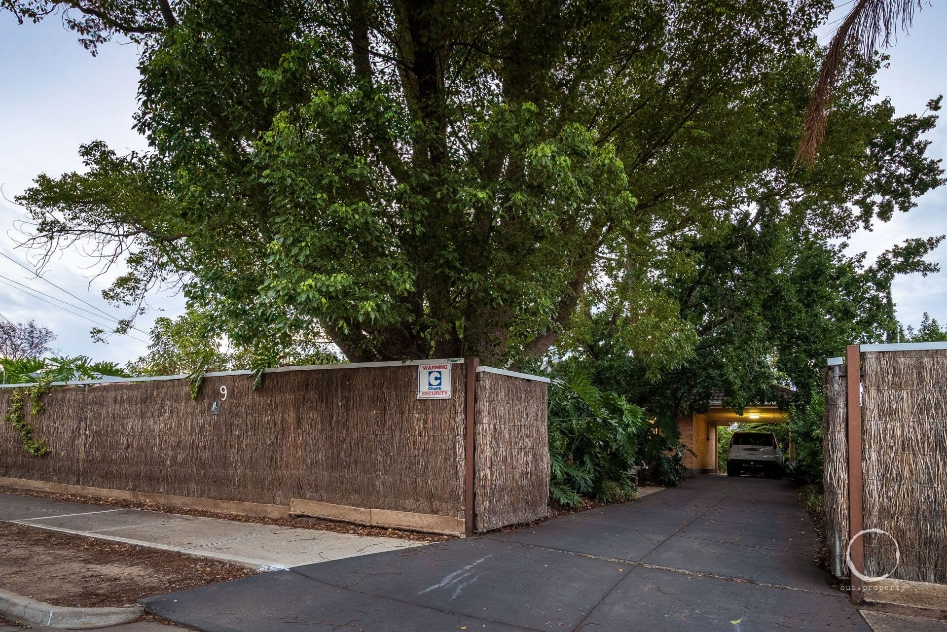 9 Elba Avenue, Lockleys, Lockleys - Thumbnail 7