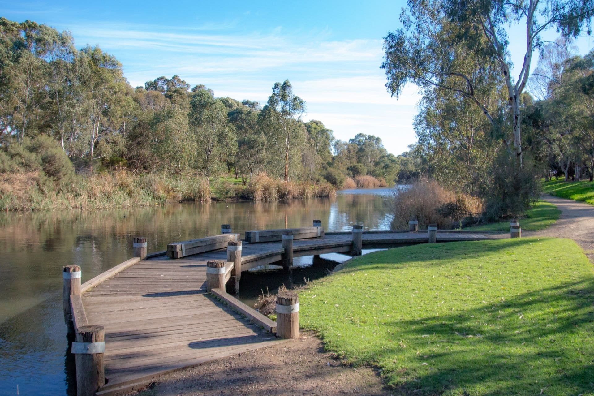 6 Arcoona Avenue, Lockleys, Lockleys - Thumbnail 4