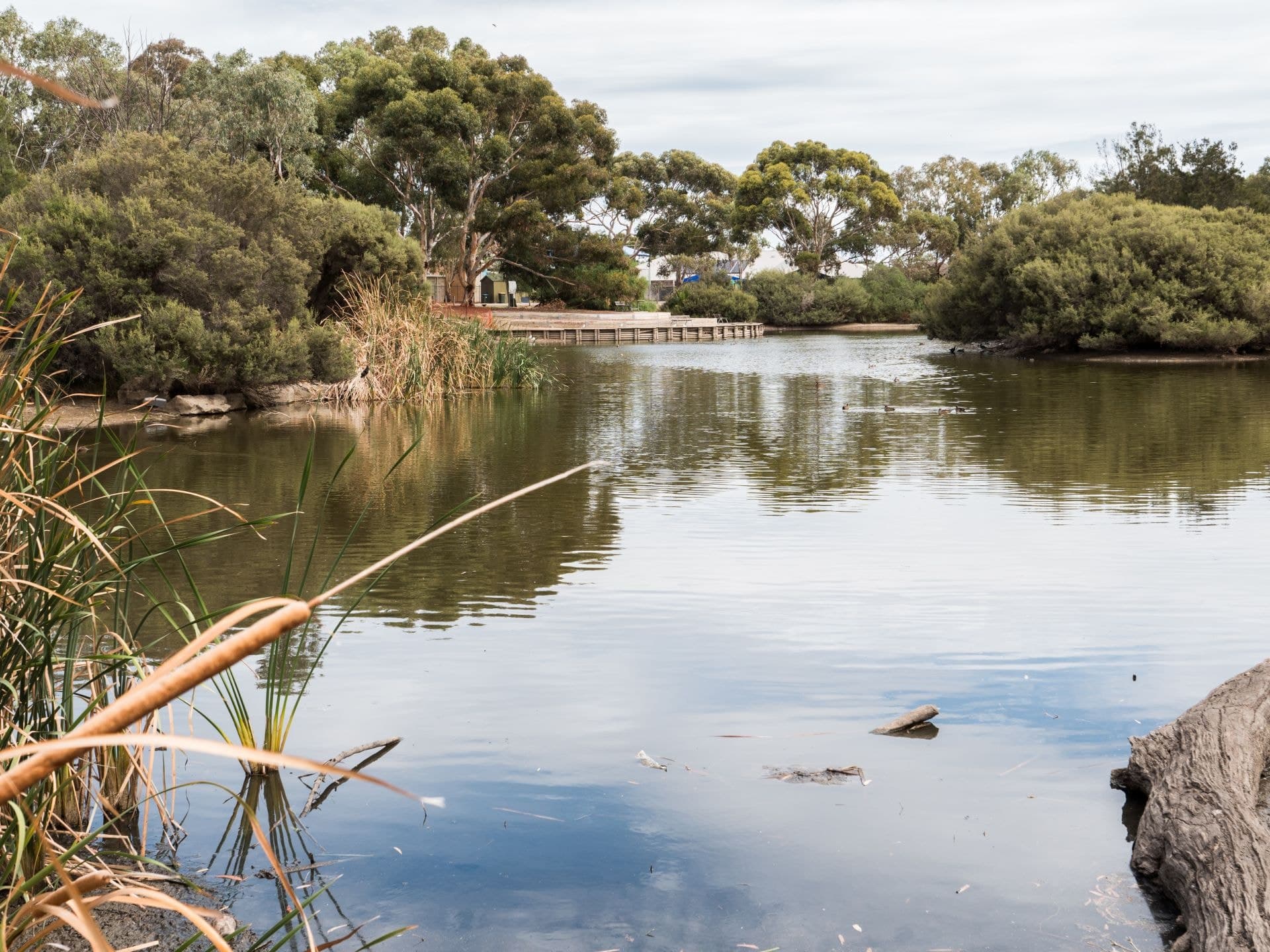 18 Graydale Street, West Beach, West Beach - Image 1