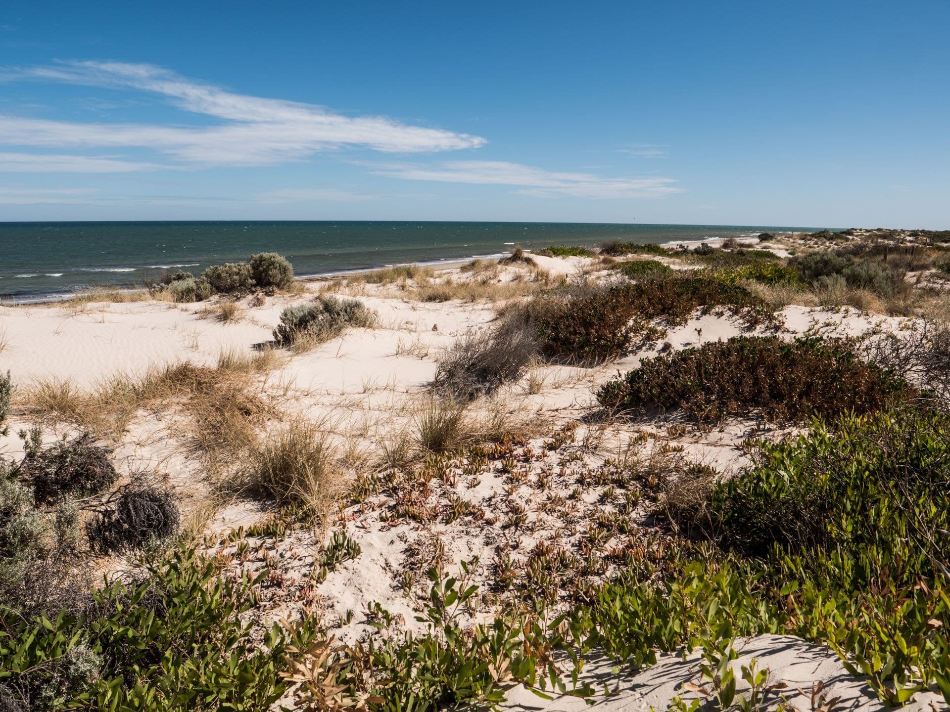 18 Graydale Street, West Beach, West Beach - Thumbnail 5