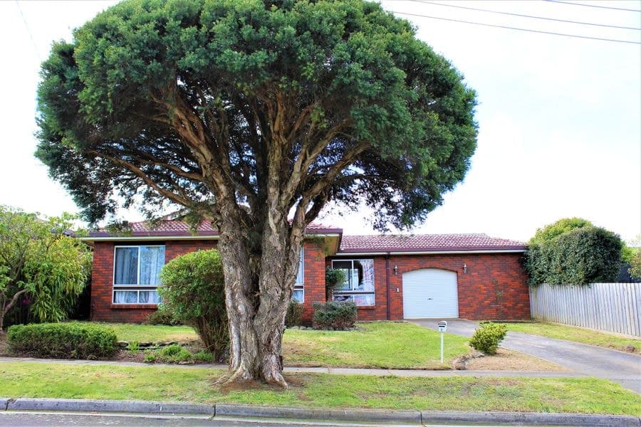 1 Need Court, Warragul VIC 3820, Warragul - Image 1