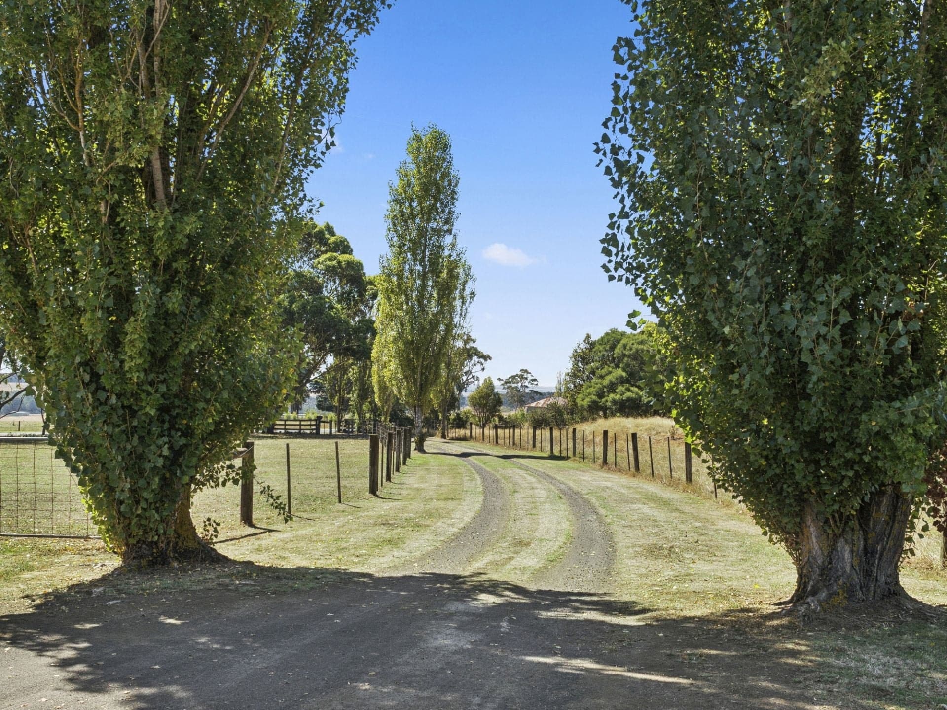 1310 Colac - Forrest Road Yeodene VIC, Yeodene - Thumbnail 2