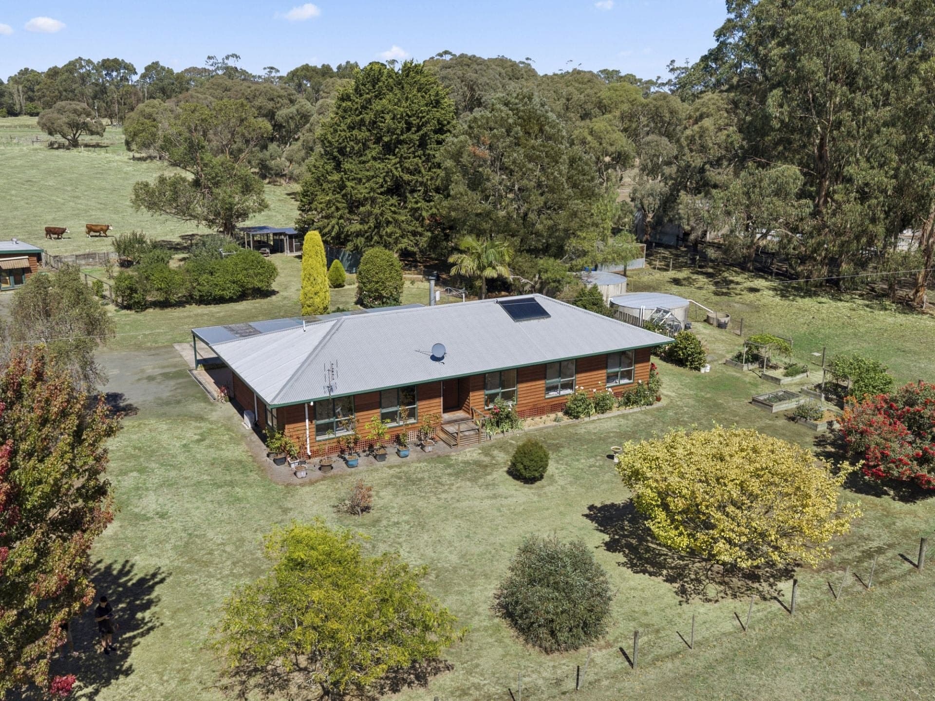 1310 Colac - Forrest Road Yeodene VIC, Yeodene - Thumbnail 3