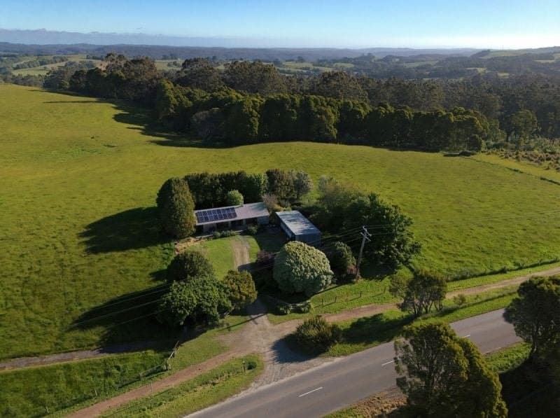 125 Beech Forest - Lavers Hill Road Beech Forest VIC, Beech Forest - Image 1