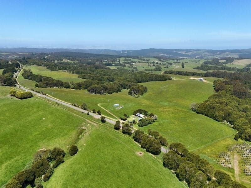 125 Beech Forest - Lavers Hill Road Beech Forest VIC, Beech Forest - Thumbnail 2