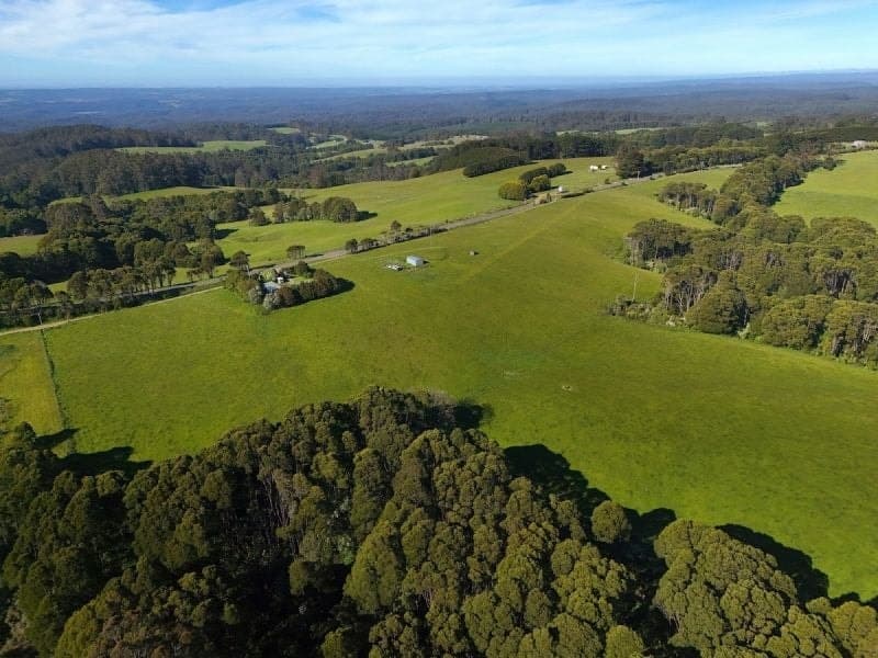 125 Beech Forest - Lavers Hill Road Beech Forest VIC, Beech Forest - Thumbnail 4